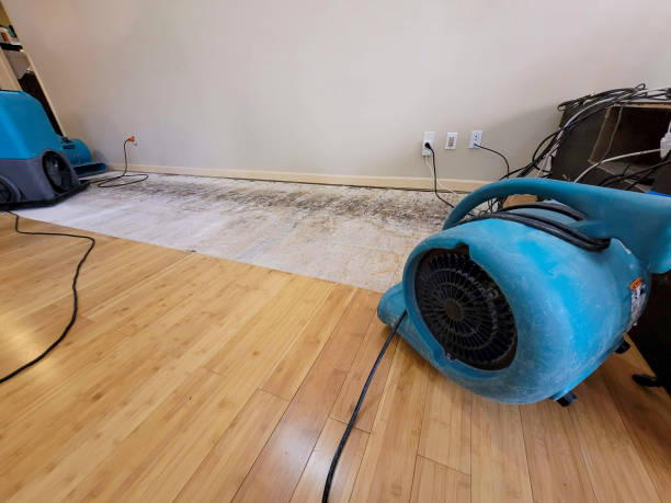 Professional Ceiling Water Damage Repair technician working in Iona, FL